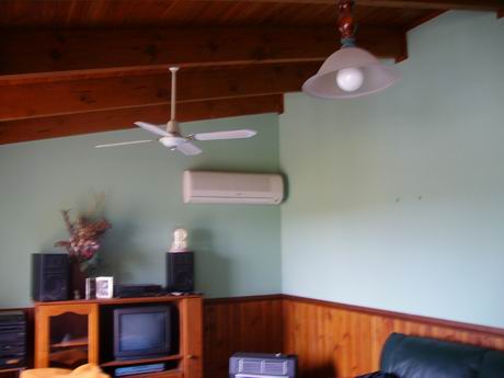 WINTER 2009 16 WEEK LEASE Picture 3