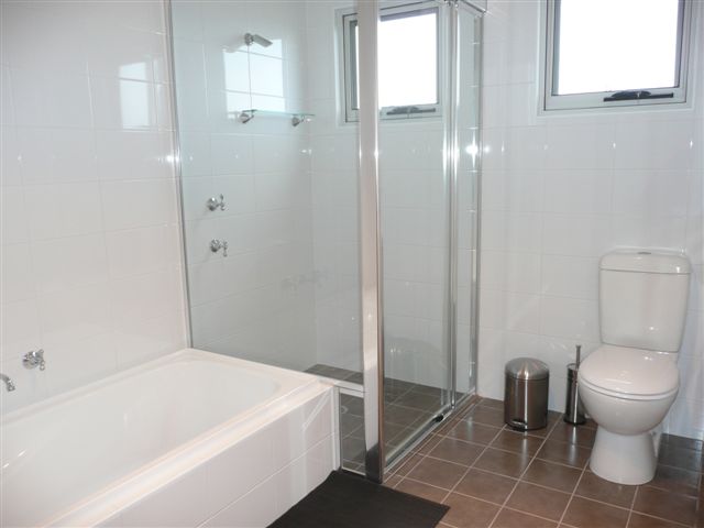 WINTER 2009 16 WEEK LEASE Picture WINTER 2009 16 WEEK LEASE Picture