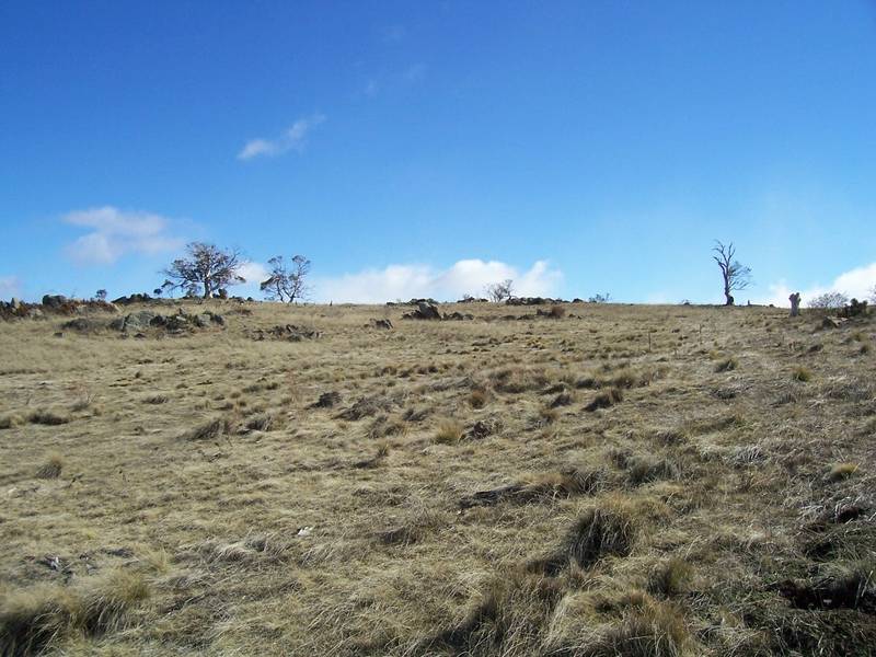 AFFORDABLE COBBIN ESTATE BLOCK Picture 1