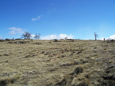 AFFORDABLE COBBIN ESTATE BLOCK Picture AFFORDABLE COBBIN ESTATE BLOCK Picture