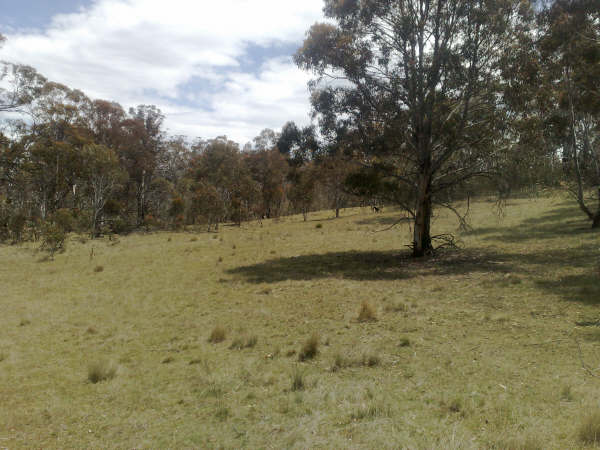 Jindabyne Rural Land-100 Acres with Building Entitlement Picture 3