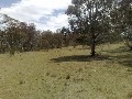 Jindabyne Rural Land-100 Acres with Building Entitlement Picture