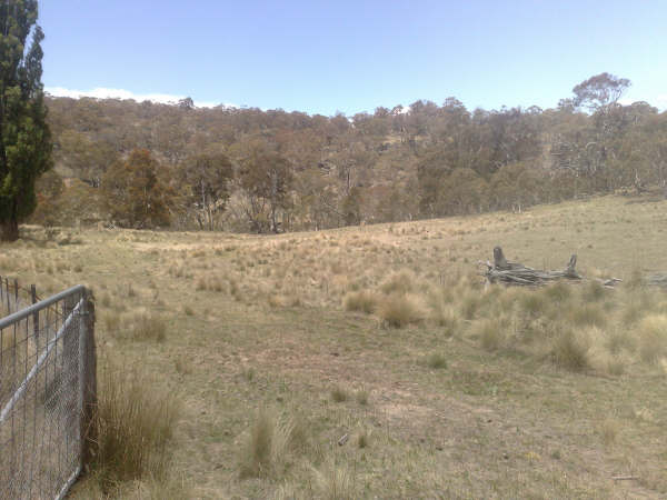 Jindabyne Rural Land-100 Acres with Building Entitlement Picture 2