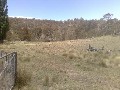 Jindabyne Rural Land-100 Acres with Building Entitlement Picture