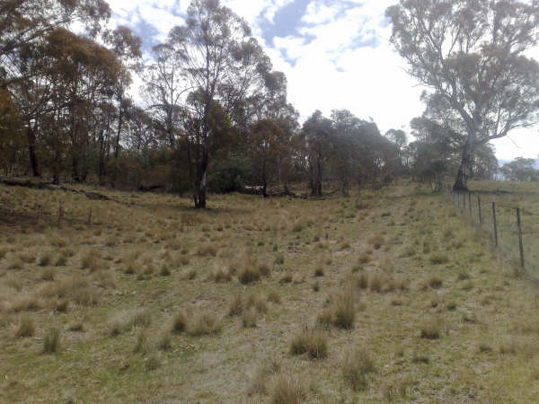 Jindabyne Rural Land-100 Acres with Building Entitlement Picture 1