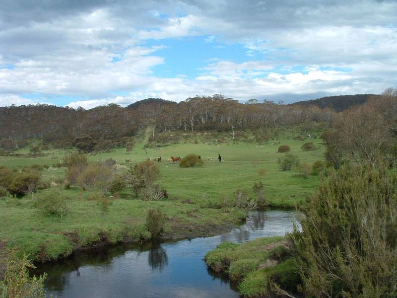 China Creek Picture 1