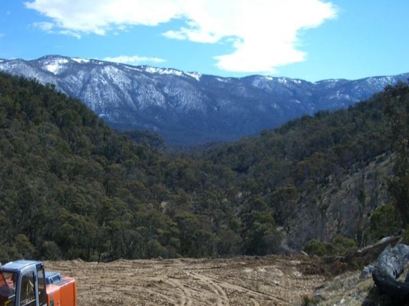 China Creek Picture 3