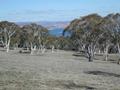 LAKE FRONTAGE RURAL BUILDING BLOCK! Picture