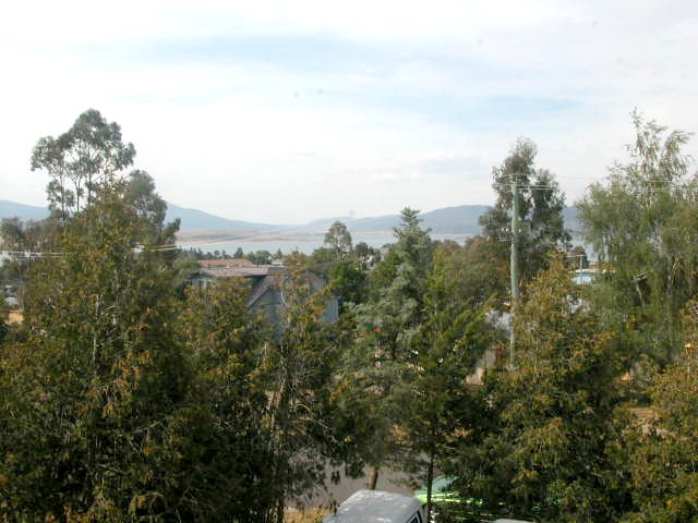 Spacious Cedar House Picture 3