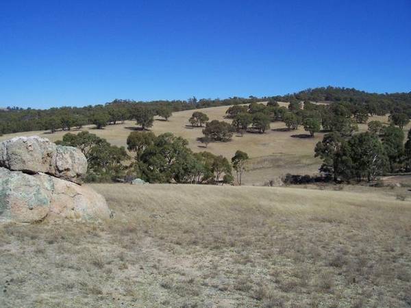 TOLBAR - LIFESTYLE HIDEAWAY Picture 2