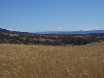 TOLBAR - LIFESTYLE HIDEAWAY Picture