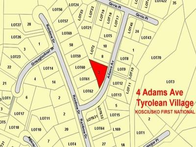 TYROLEAN TRIANGLE Picture