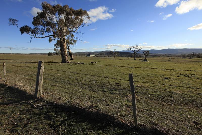 The Closest 40ha lifestyle lot to Jindabyne ( approximately 9km ) Picture 2
