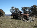 138.5ha of Arable Land with Stunning Snowy Mountains Views Picture