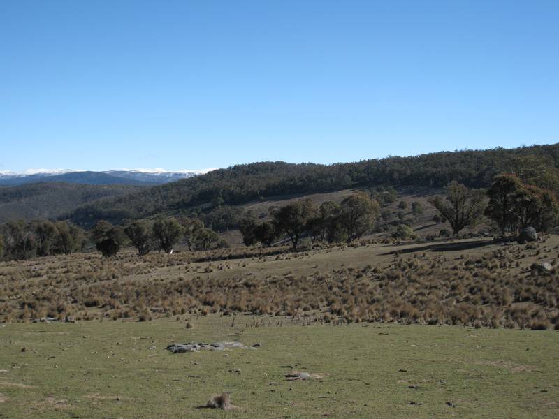138.5ha of Arable Land with Stunning Snowy Mountains Views Picture 3