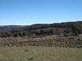 138.5ha of Arable Land with Stunning Snowy Mountains Views Picture