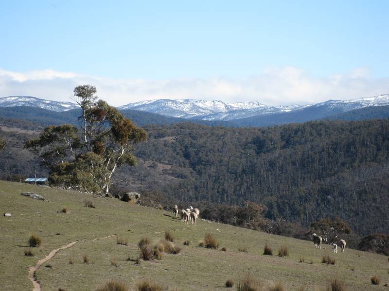 138.5ha of Arable Land with Stunning Snowy Mountains Views Picture 1