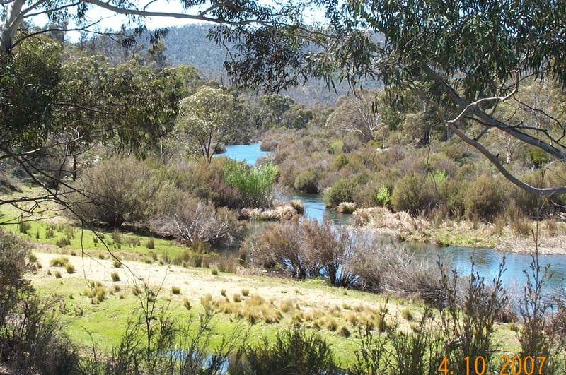TWO AND A HALF KMS OF SNOWY RIVER FRONTAGE! Picture 3
