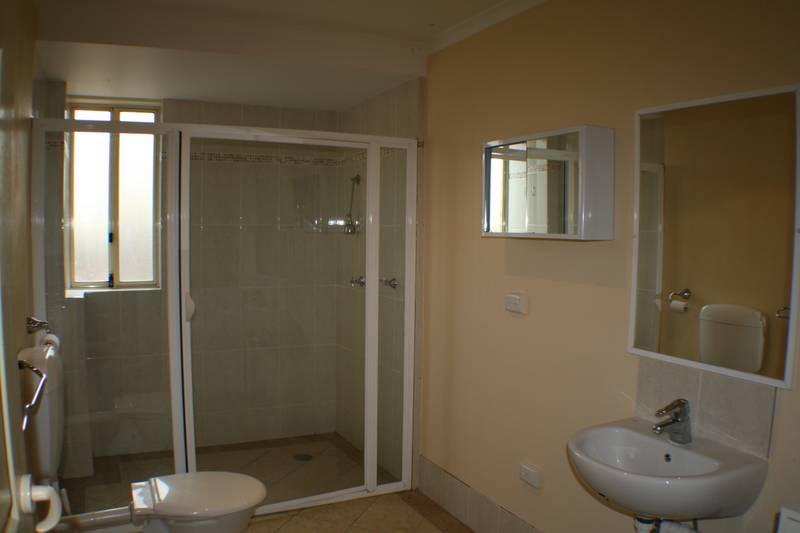 Poley Cow Auction Picture 3