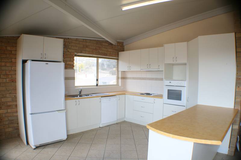 Poley Cow Auction Picture 2