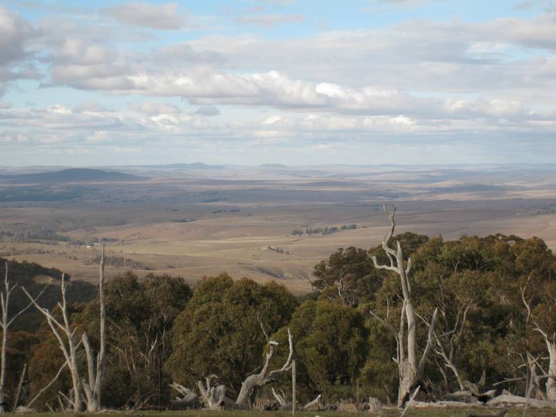 LIFESTYLE BLOCK - GREAT FOR MOTOR BIKE RIDING, HORSE RIDING & SHOOTING Picture 3