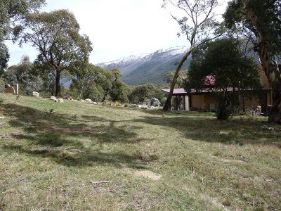 BEAUTIFUL BLOCK WITH SNOW VIEWS! Picture