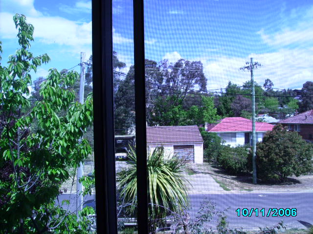 12 MONTH LEASE Picture 2