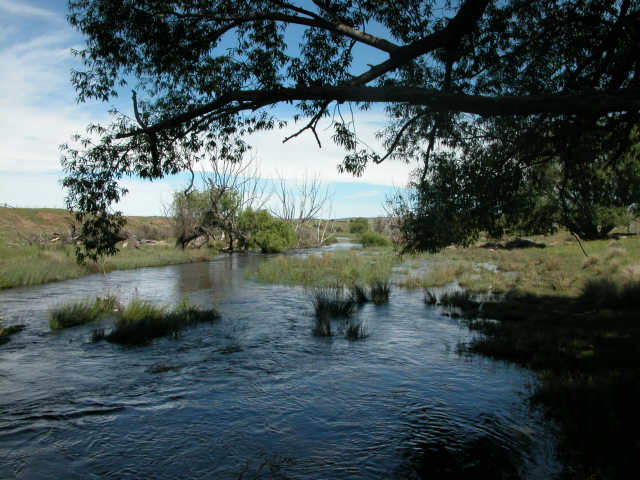 DALGETY DREAM! SNOWY RIVER FRONTAGE WITH BUILDING ENTITLEMENT! Picture 3