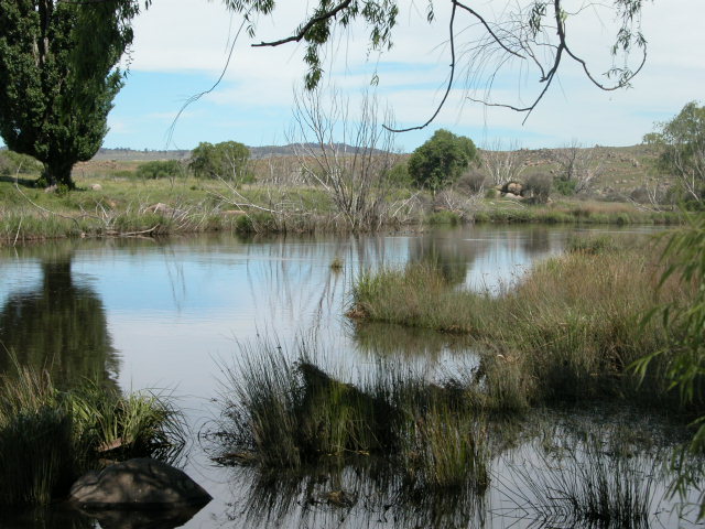 DALGETY DREAM! SNOWY RIVER FRONTAGE WITH BUILDING ENTITLEMENT! Picture 1