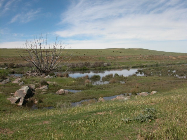 DALGETY DREAM! SNOWY RIVER FRONTAGE WITH BUILDING ENTITLEMENT! Picture 2