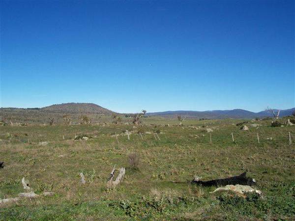 AFFORDABLE PRIVACY - CLOSE TO JINDABYNE Picture