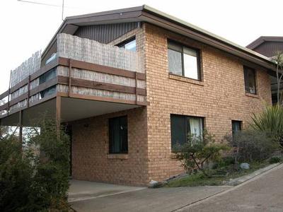 CATCH A CORTINA Picture