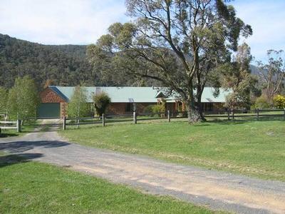 BIRCHWOOD Picture BIRCHWOOD Picture