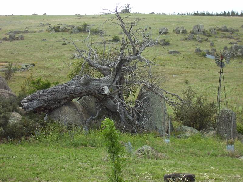 Longerfield Estate - A rugged mountain experience ! Picture 2