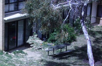 12 month or
Summer lease Picture 12 month or
Summer lease Picture