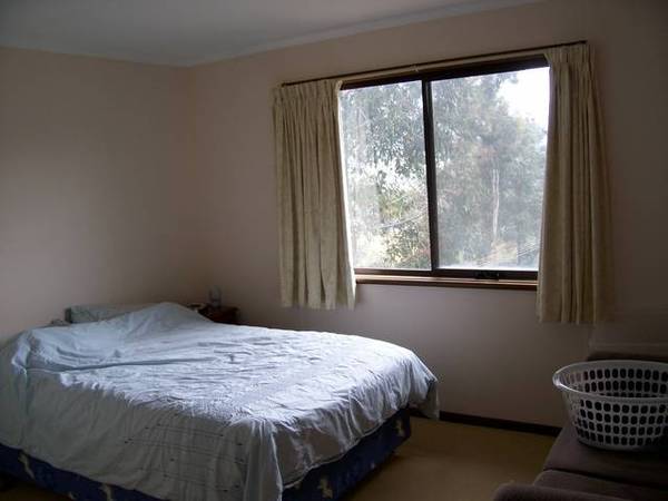 LAKE AND SNOW APARTMENTS! Picture 2