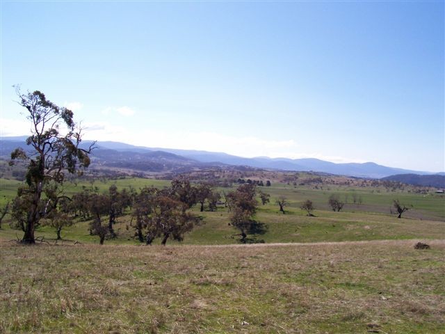 11.6ha with Superb Mountain & Lake Views in a Rural setting Picture 2