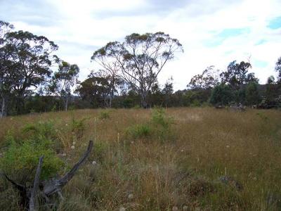 Main range views, very private, very special rural land ! Picture