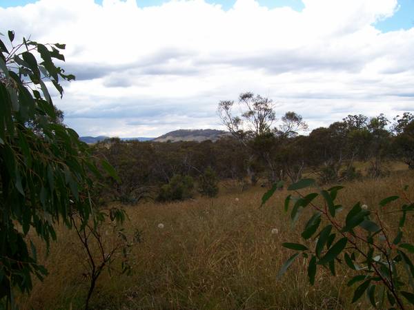 Main range views, very private, very special rural land ! Picture 2