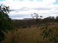 Main range views, very private, very special rural land ! Picture