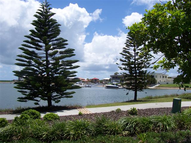 Newport Land
-
650m2 Picture 2