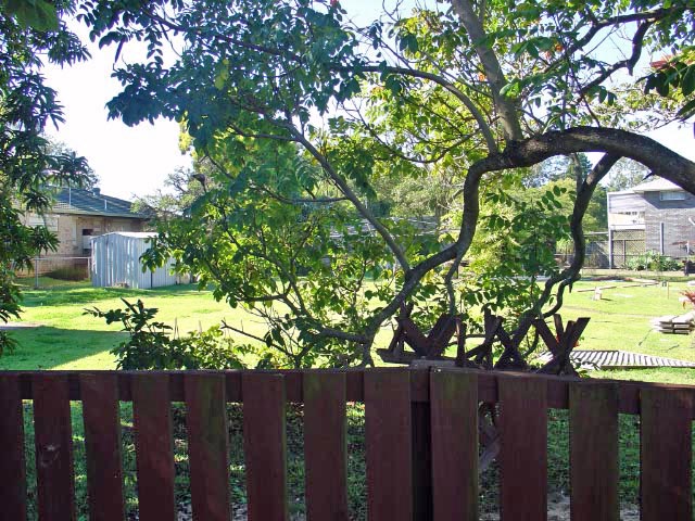 VACANT LAND BIRKDALE Picture 1