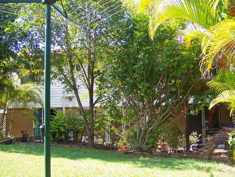 Alexandra Hills $395,000.
WHEN SPACE IS IMPORTANT!! Picture 3