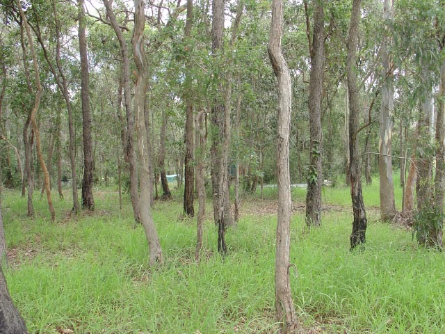 Brisbane Acreage Picture 3