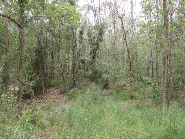 Brisbane Acreage Picture 1