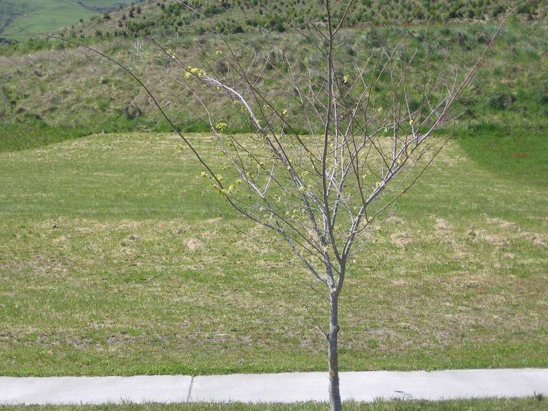 BUILD YOUR PLACE IN THE SUN........... Picture 2