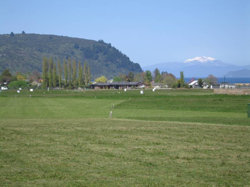 HOLY OAKS - KINLOCH Picture 1