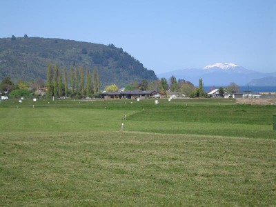 HOLY OAKS - KINLOCH Picture