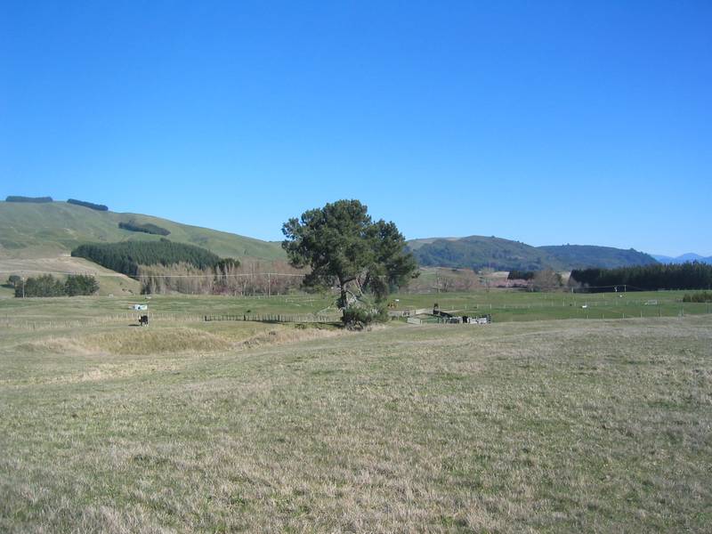 PREMIER LIFESTYLE LOCATION Picture 2