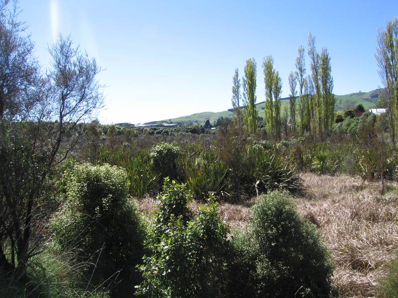 MAGIC POSITION Picture 3